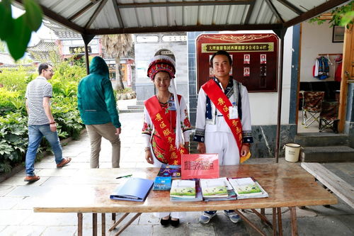 微力促文明，大理旅游集团在行动 国内游与入境游并进